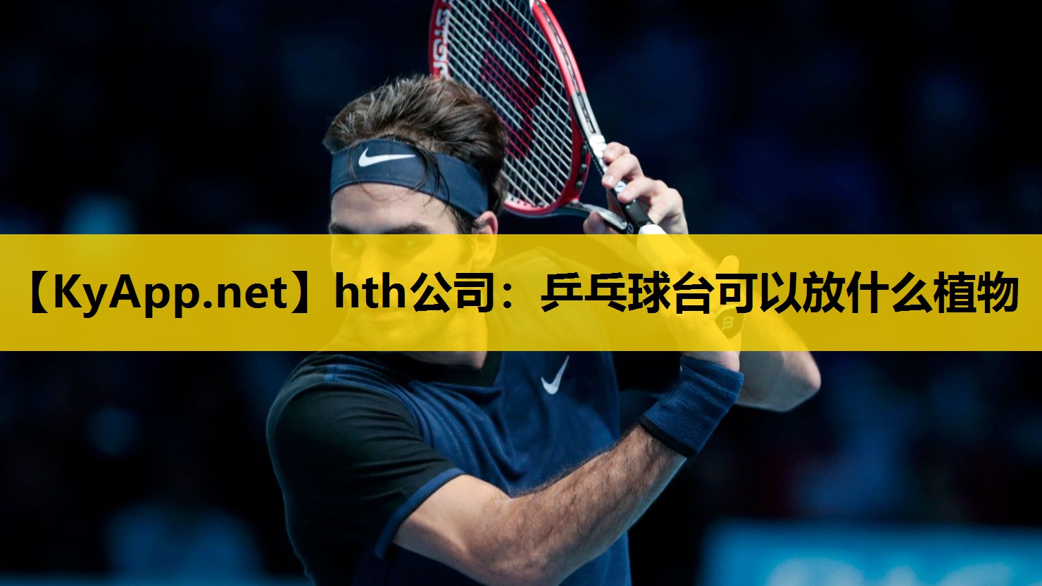 hth公司：乒乓球台可以放什么植物