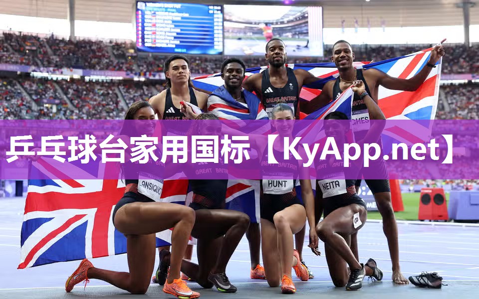 乒乓球台家用国标