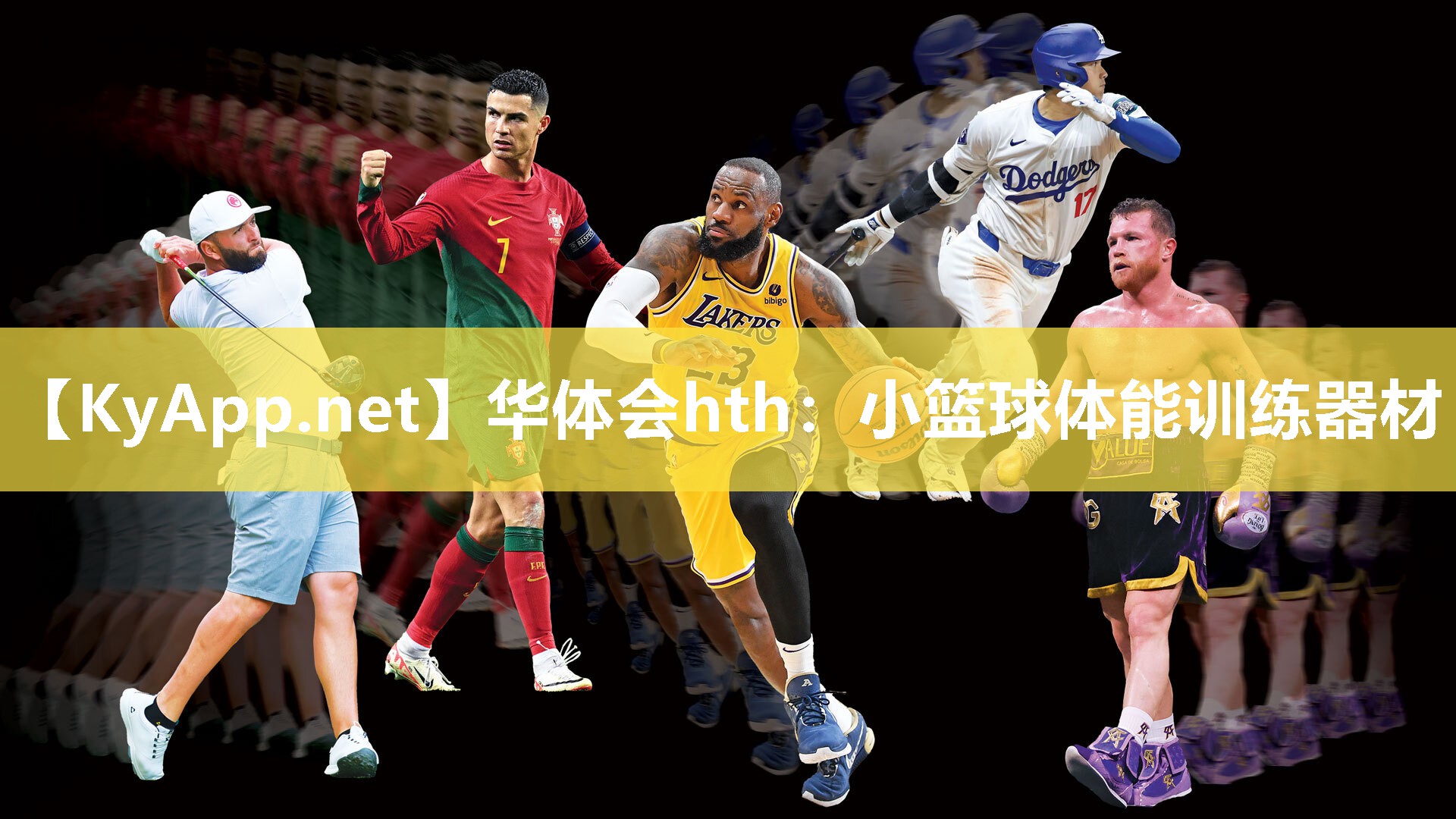 华体会hth：小篮球体能训练器材