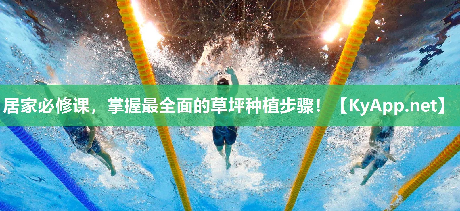 居家必修课，掌握最全面的草坪种植步骤！