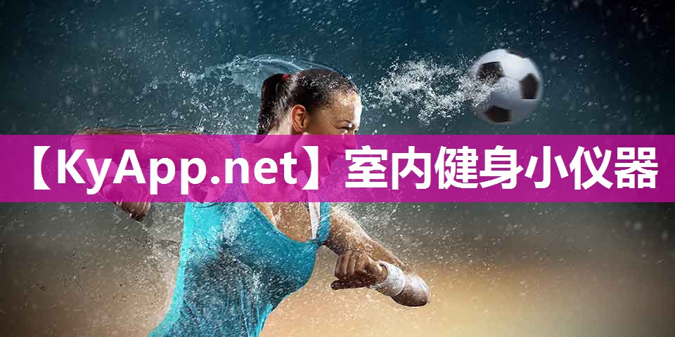 室内健身小仪器