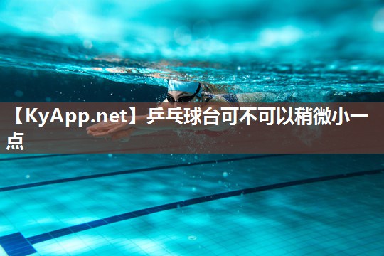 乒乓球台可不可以稍微小一点