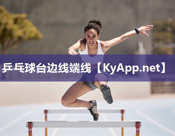乒乓球台边线端线