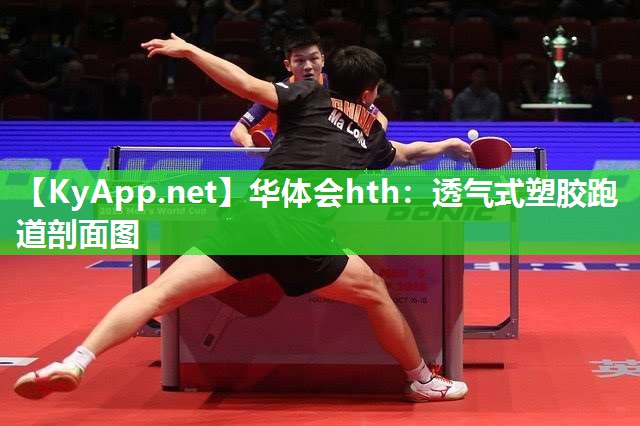 华体会hth：透气式塑胶跑道剖面图