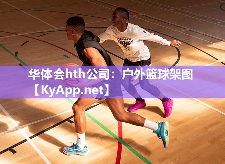 华体会hth公司：户外篮球架图