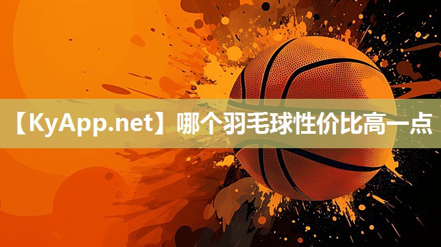 哪个羽毛球性价比高一点