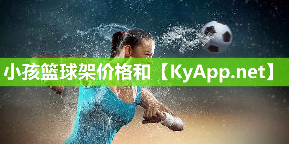 小孩篮球架价格和