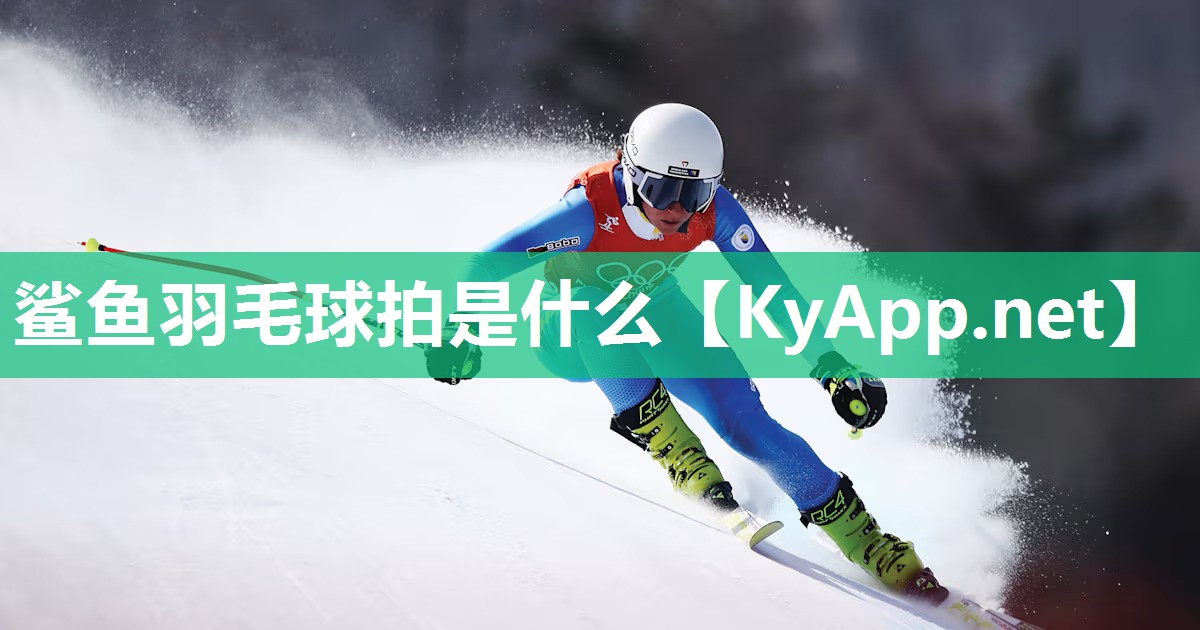 鲨鱼羽毛球拍是什么