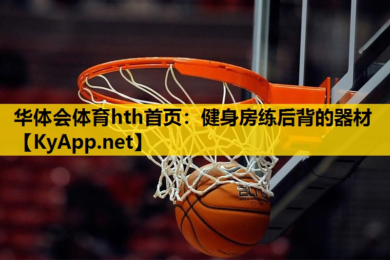 健身房练后背的器材