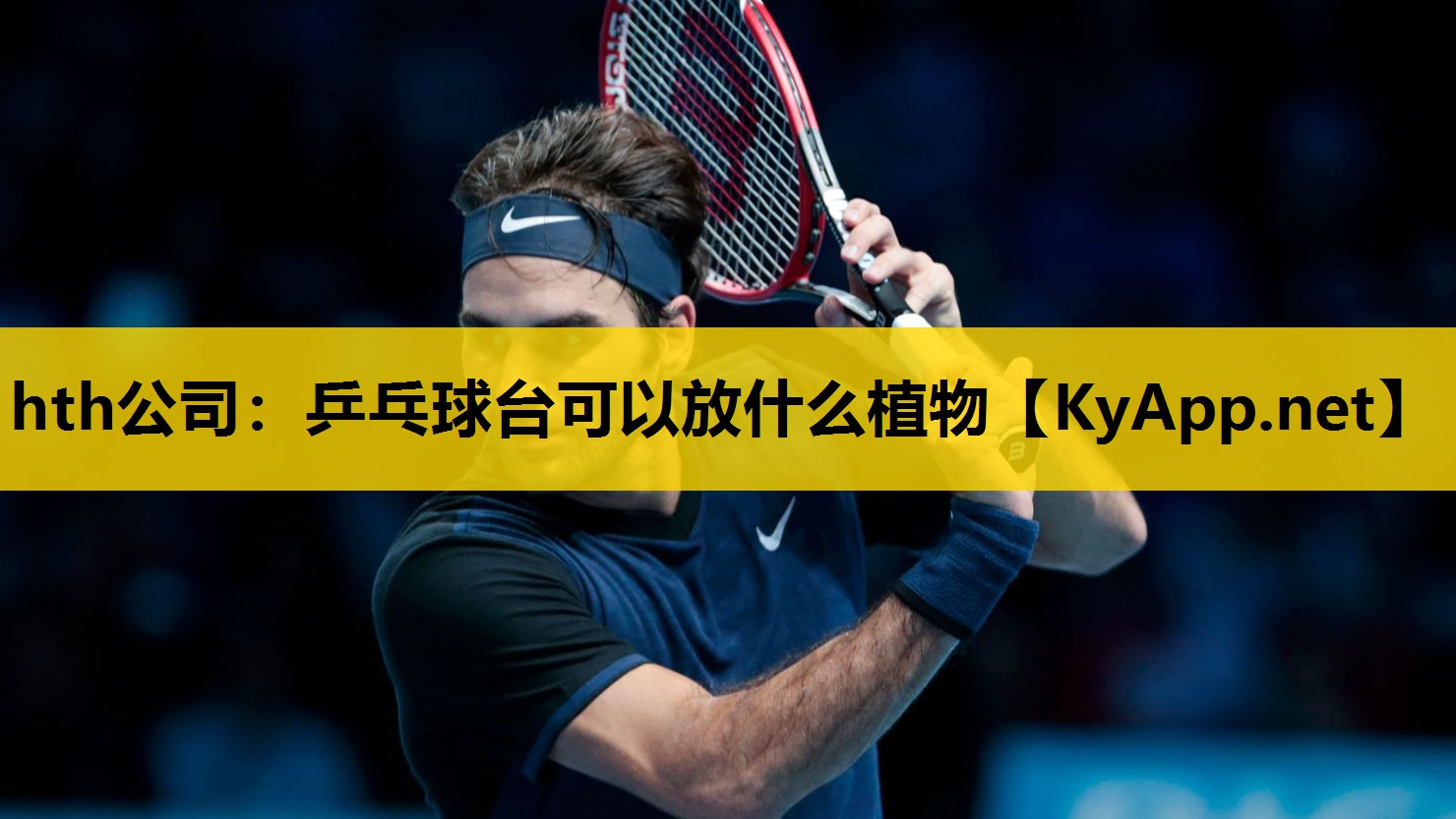 乒乓球台可以放什么植物