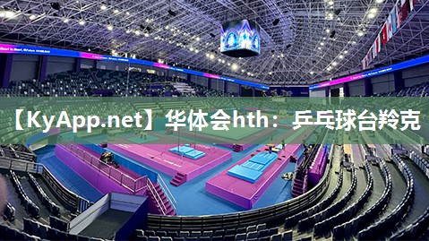 乒乓球台羚克