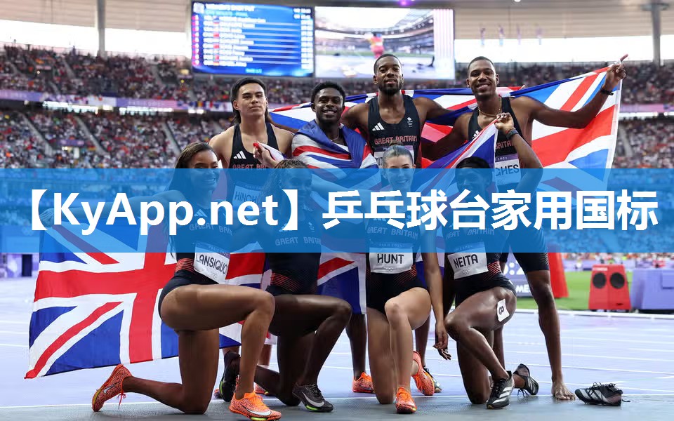 乒乓球台家用国标