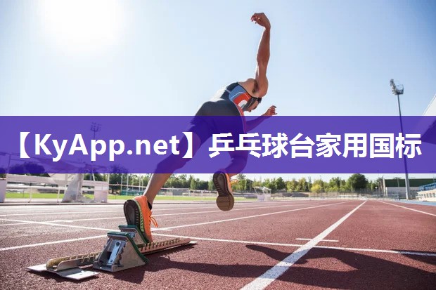 乒乓球台家用国标