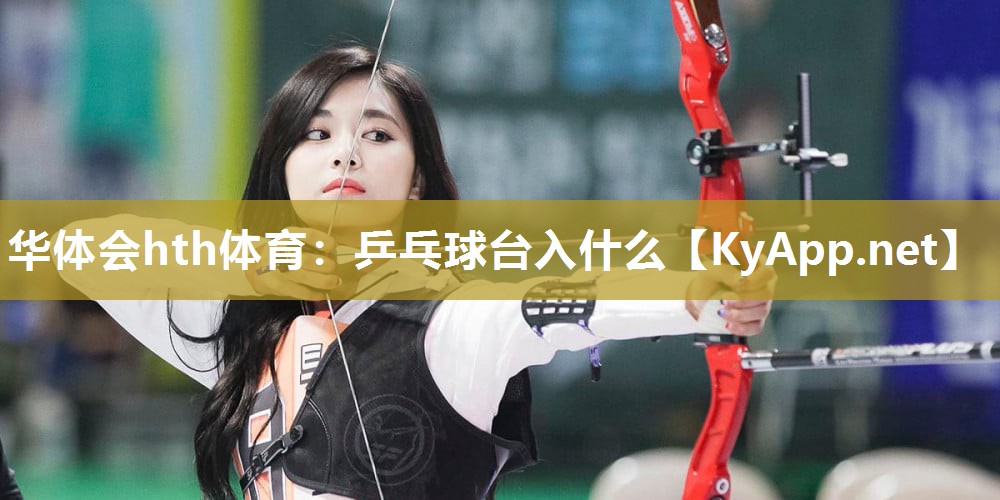 乒乓球台入什么