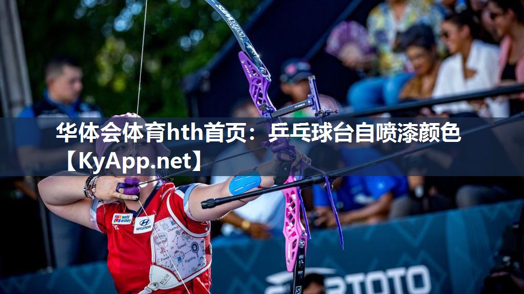 乒乓球台自喷漆颜色