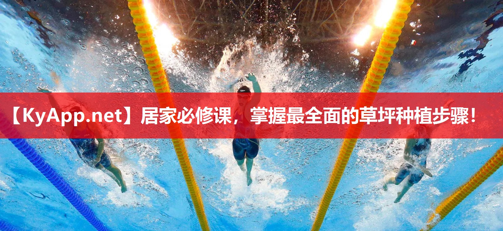 居家必修课，掌握最全面的草坪种植步骤！