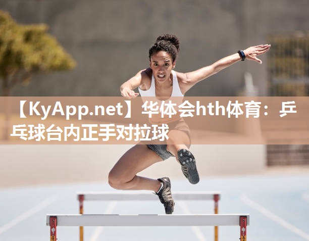 乒乓球台内正手对拉球