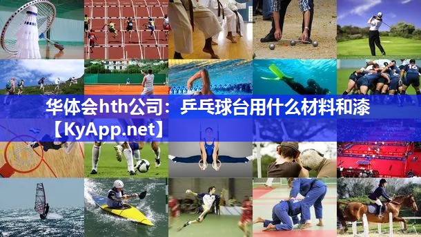 乒乓球台用什么材料和漆