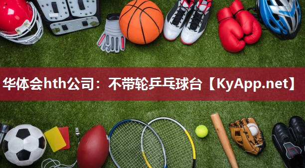 不带轮乒乓球台