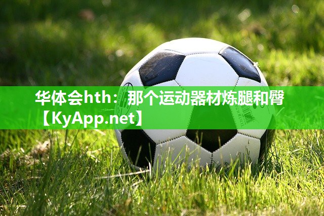 那个运动器材炼腿和臀