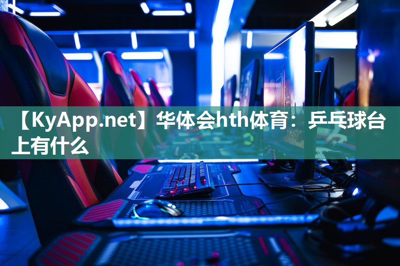 乒乓球台上有什么