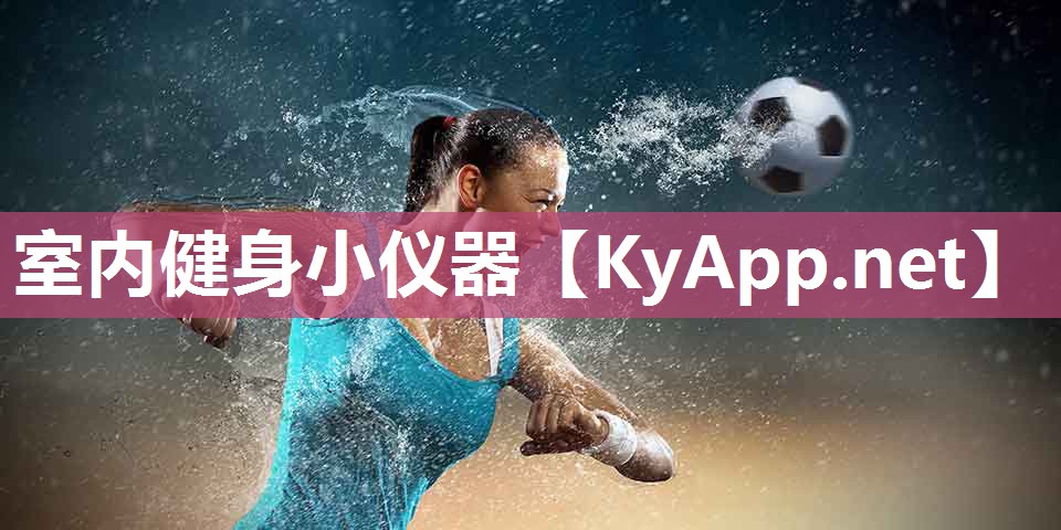 室内健身小仪器