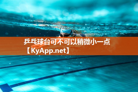 乒乓球台可不可以稍微小一点