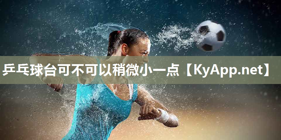 乒乓球台可不可以稍微小一点