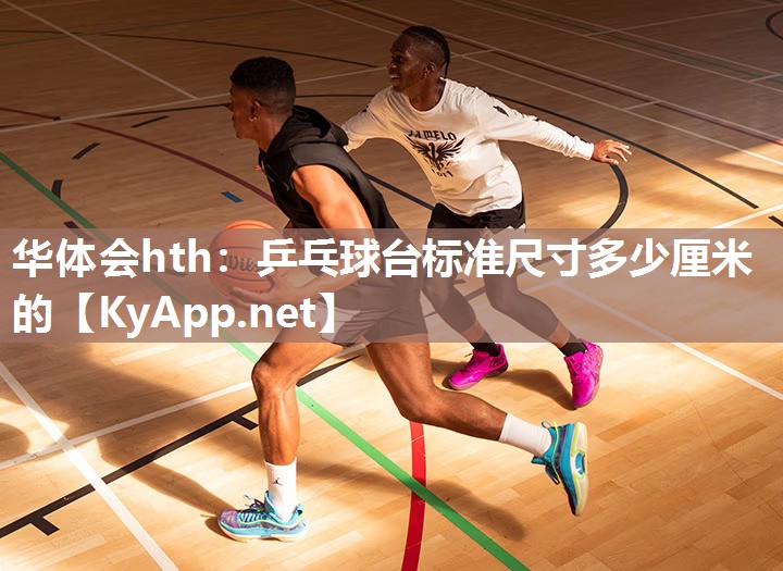 乒乓球台标准尺寸多少厘米的