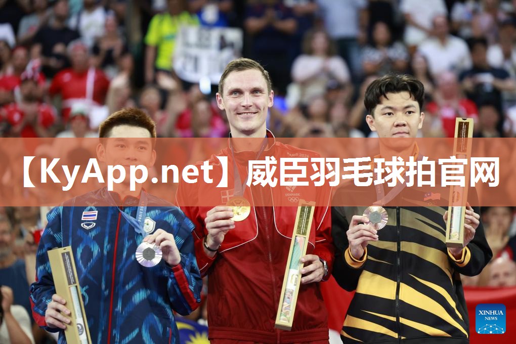 威臣羽毛球拍官网