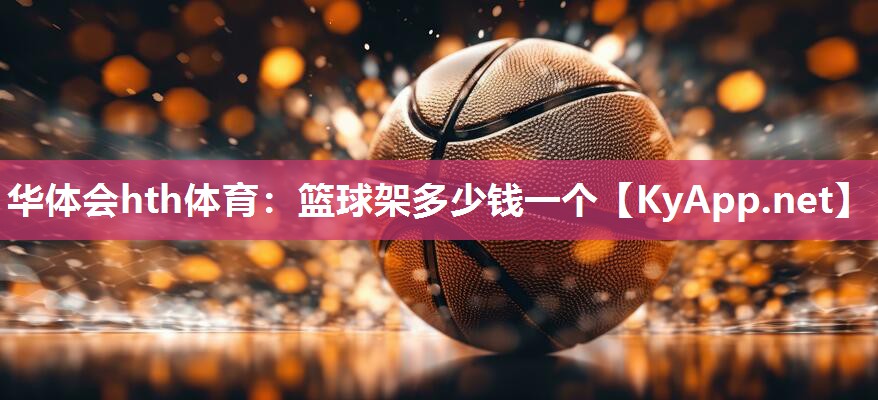 篮球架多少钱一个