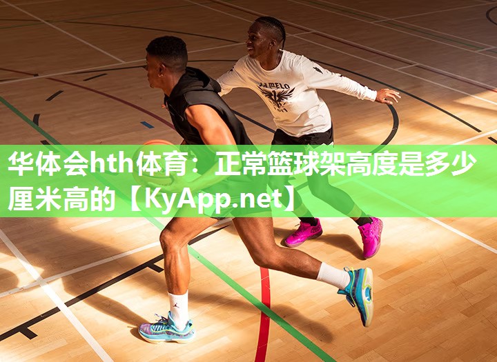 正常篮球架高度是多少厘米高的