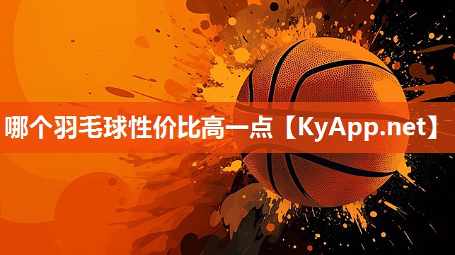 哪个羽毛球性价比高一点