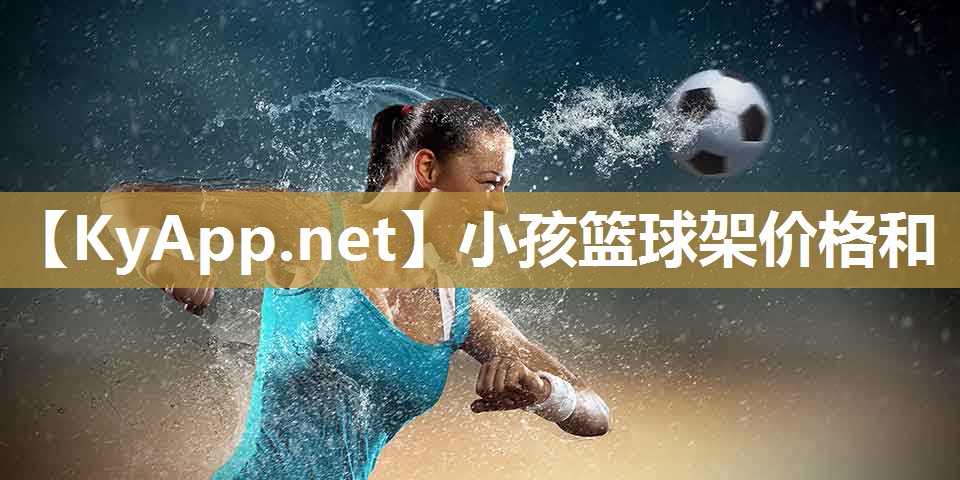 小孩篮球架价格和