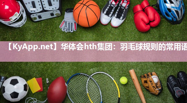 羽毛球规则的常用语