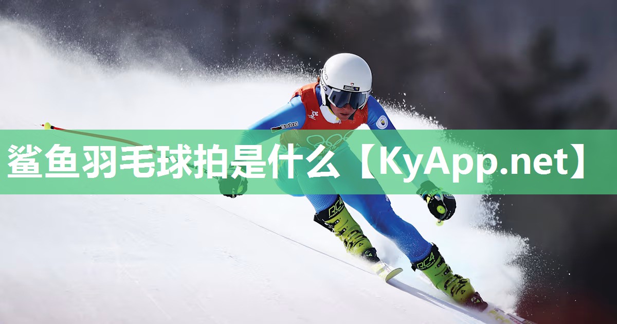 鲨鱼羽毛球拍是什么