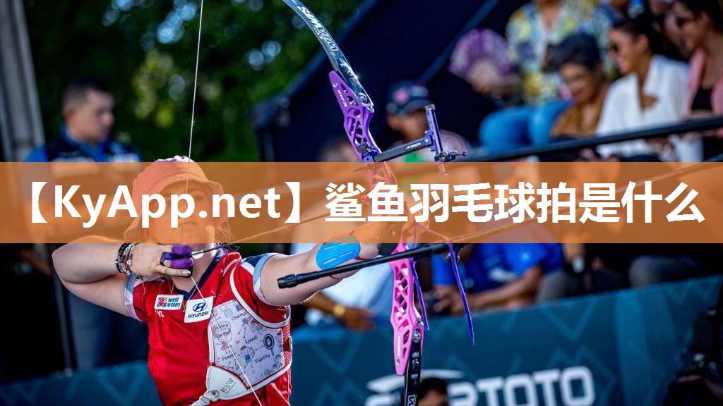 鲨鱼羽毛球拍是什么